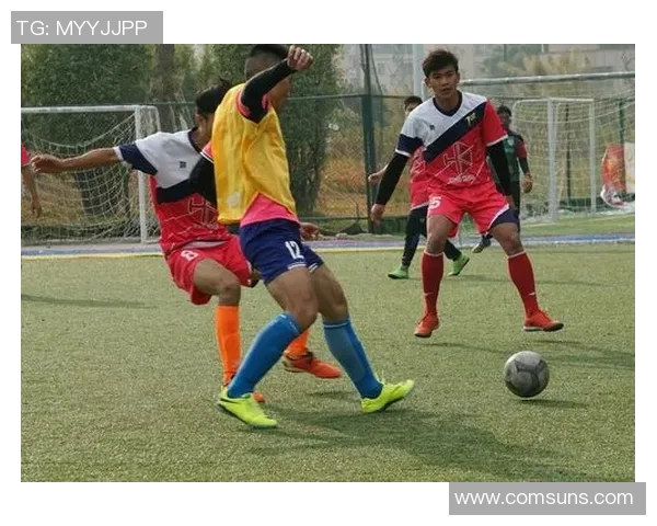 《足球球星全方位电子说明书全面解析与数据统计》